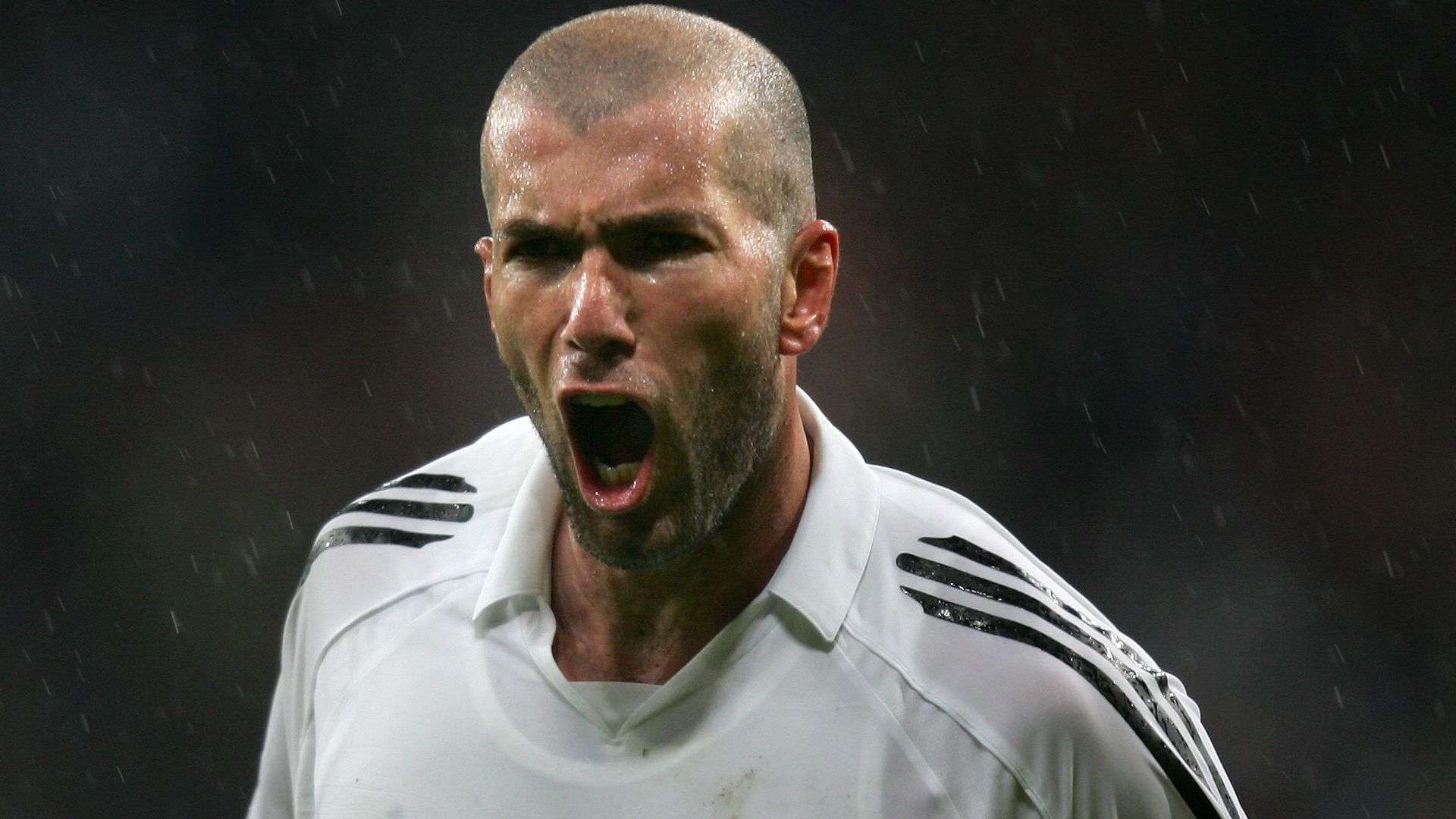 都将凝聚在 都将凝聚在