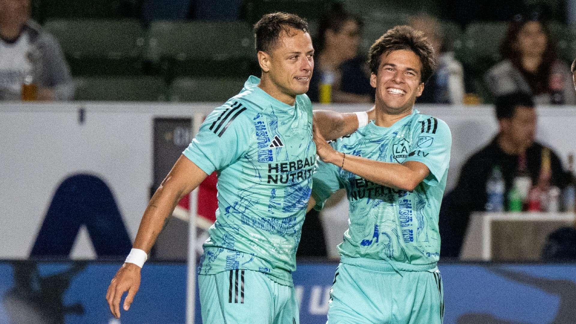 会出现问题 会出现问题